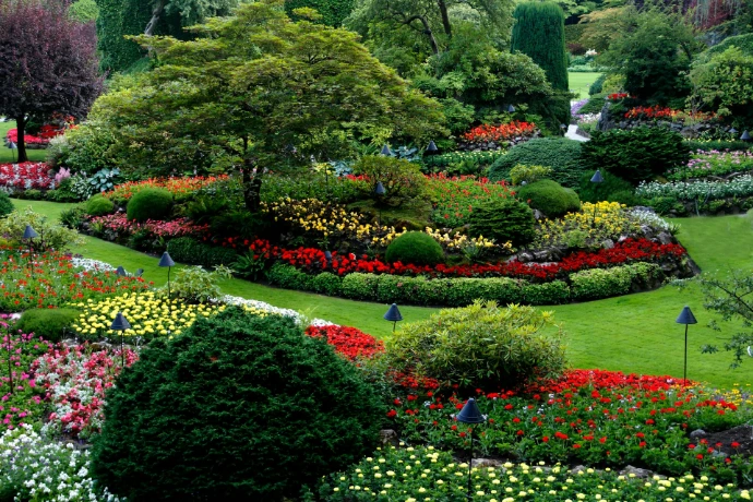 Lush flower beds and manicured shrubs in The Butchart Gardens in Victoria, Canada
